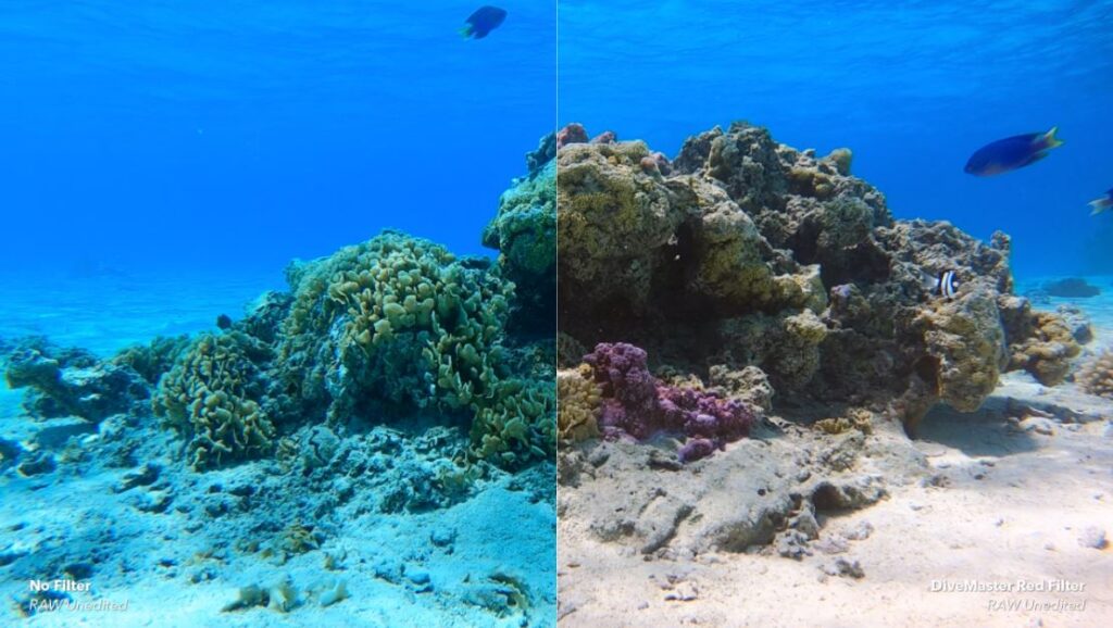 GoPro Filters and Lenses improve underwater images